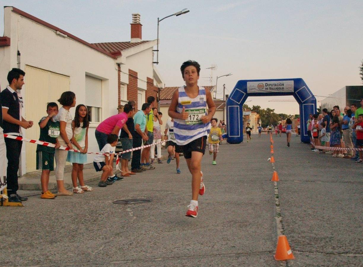 Milla Urbana de Pedrajas (1/2)