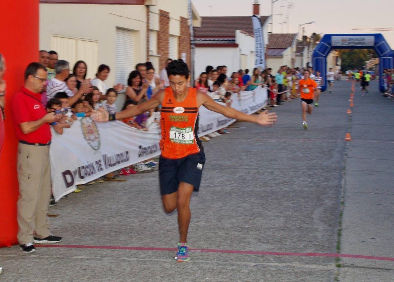 Milla Urbana de Pedrajas (1/2)