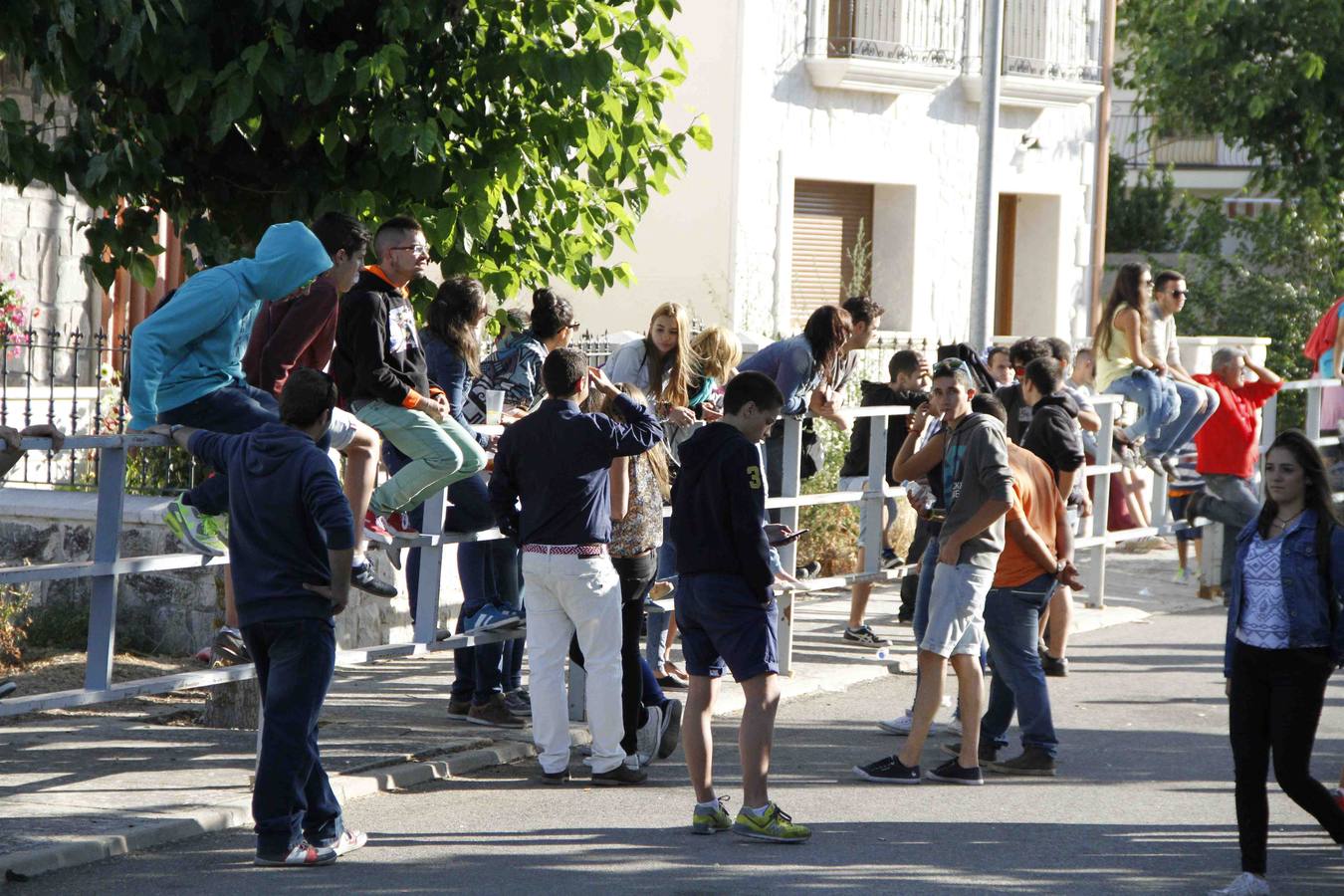 Encierro de la Vaca de la Afición y el Toro del Páramo en Campaspero. Valladolid