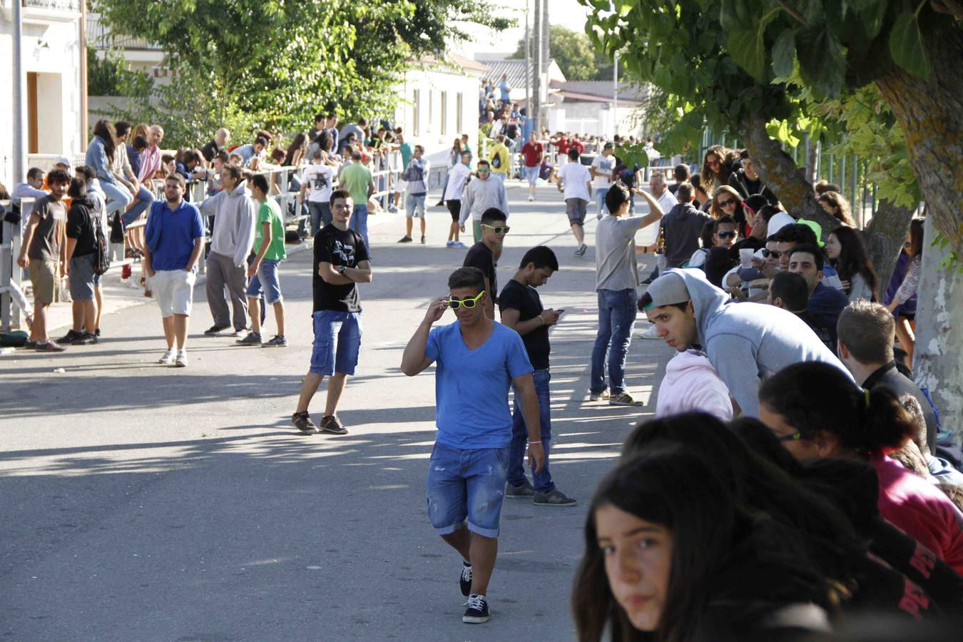 Encierro de la Vaca de la Afición y el Toro del Páramo en Campaspero. Valladolid