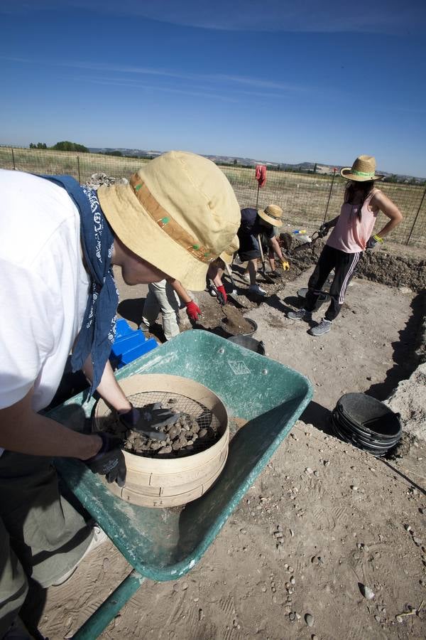 Yacimiento arqueológico de Pintia en Padilla de Duero (Valladolid)