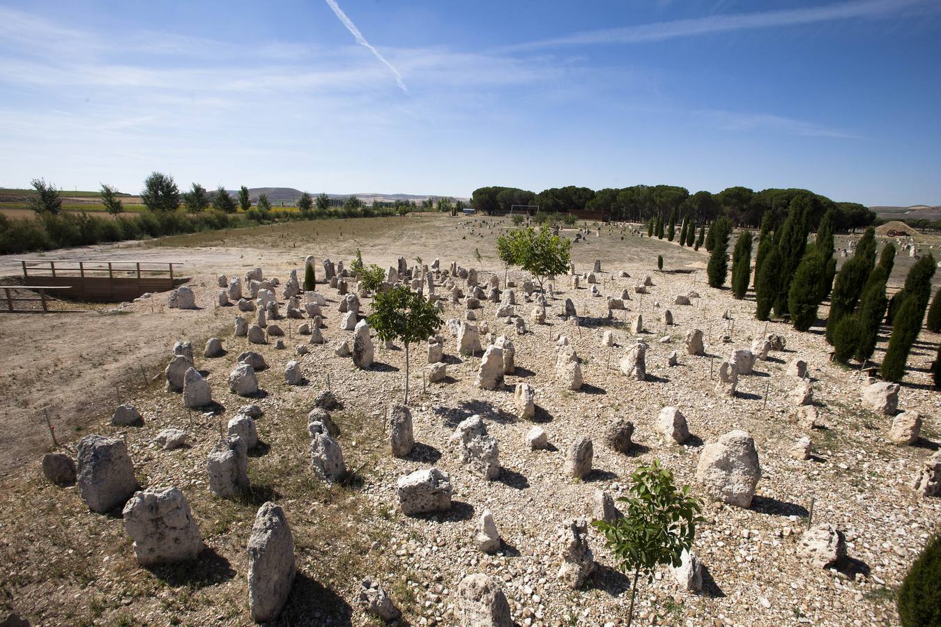 Yacimiento arqueológico de Pintia en Padilla de Duero (Valladolid)