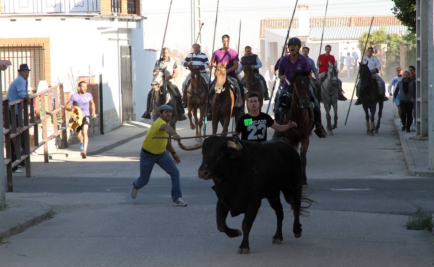 Primer encierro de las fiestas de Mozoncillo (Segovia)