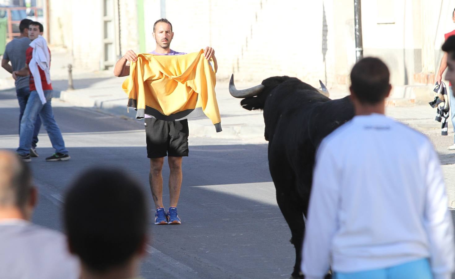 Primer encierro de las fiestas de Mozoncillo (Segovia)