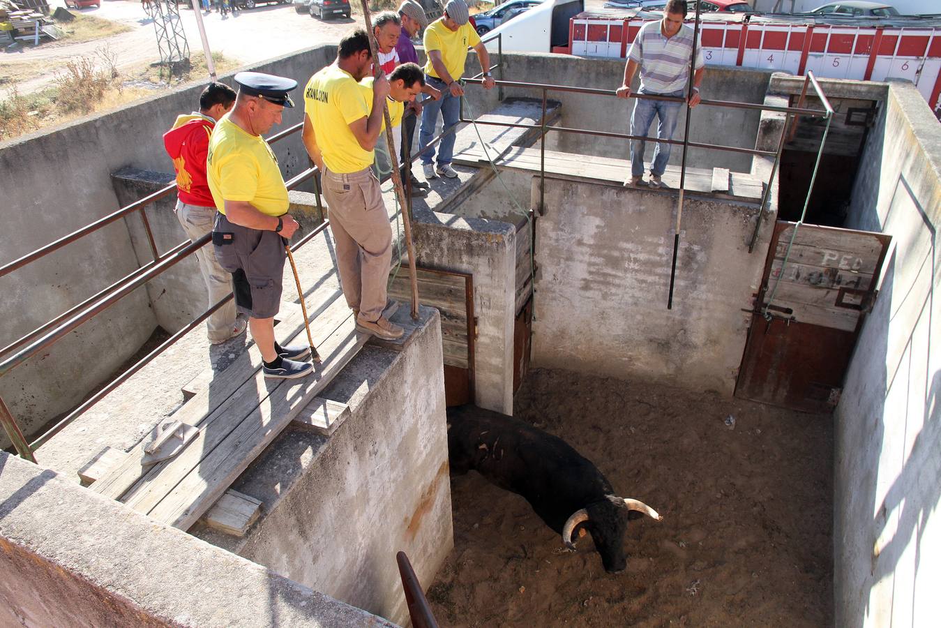 Primer encierro de las fiestas de Mozoncillo (Segovia)