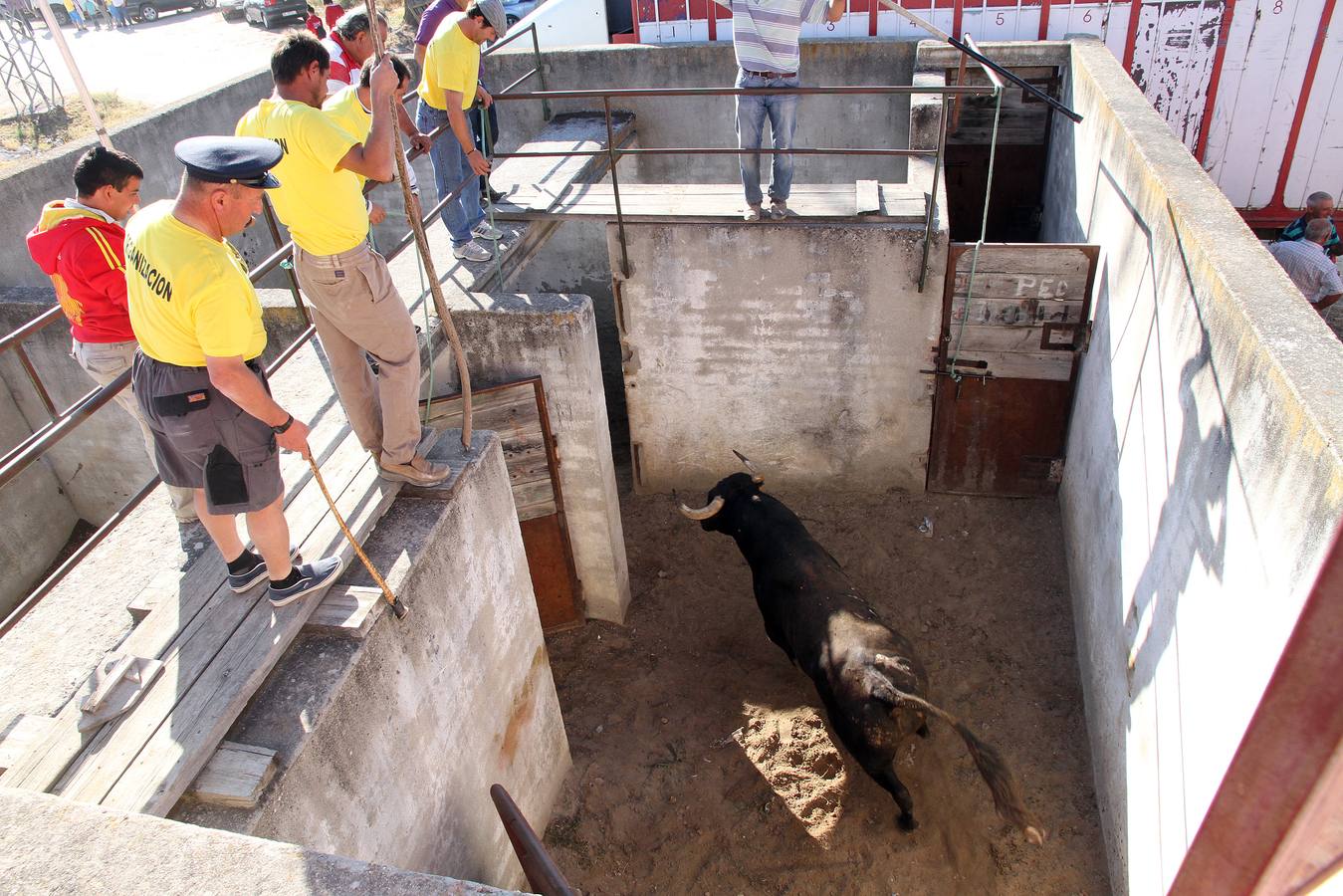 Primer encierro de las fiestas de Mozoncillo (Segovia)