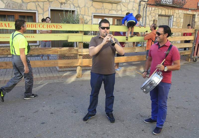 Encierro del sábado por la mañana en Torquemada (Palencia)