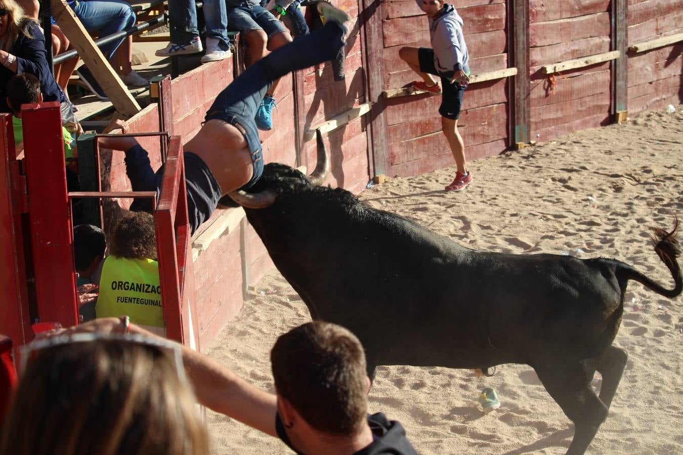 Una joven francesa herida grave al sufrir una cogida en Fuenteguinaldo