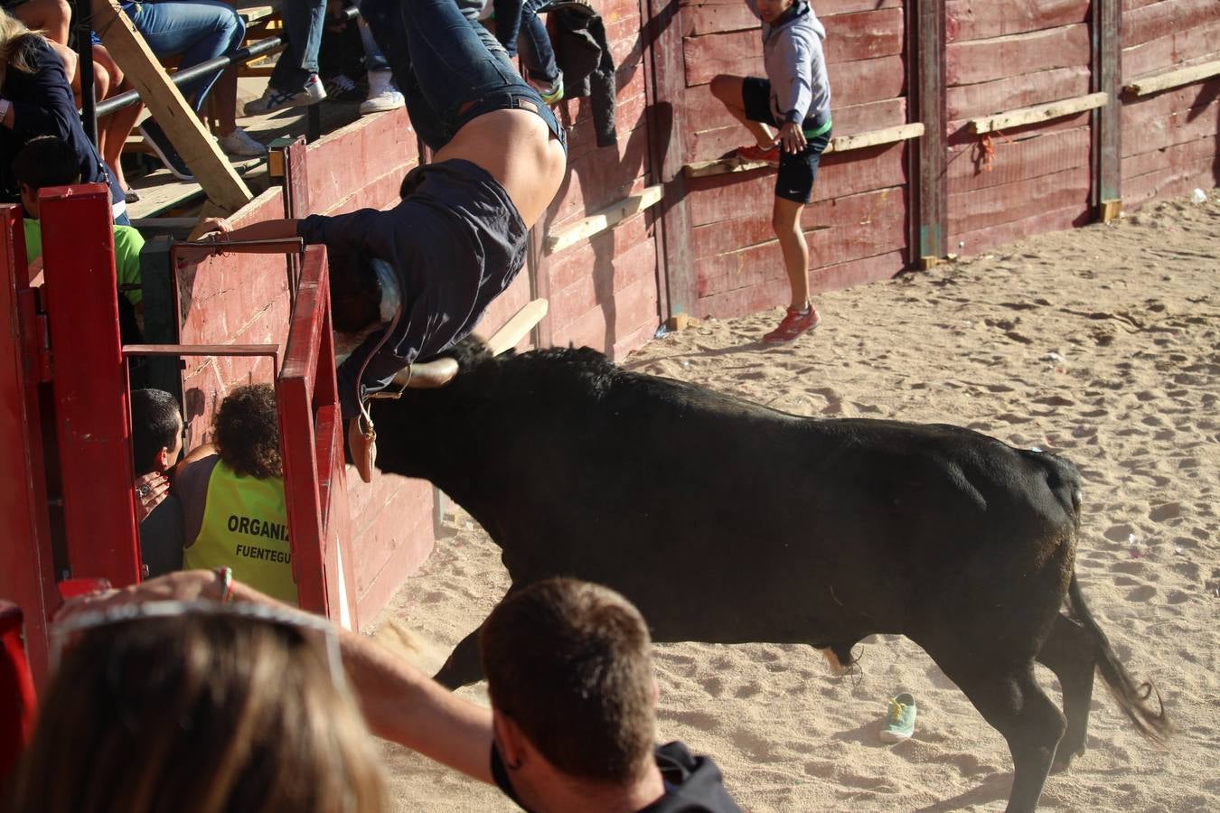 Una joven francesa herida grave al sufrir una cogida en Fuenteguinaldo