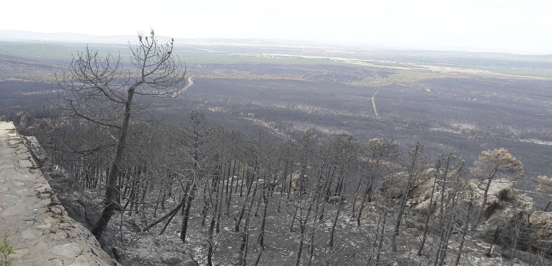 Segundo aniversario del incendio de Castrocontrigo