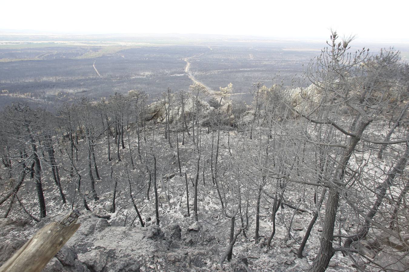 Segundo aniversario del incendio de Castrocontrigo