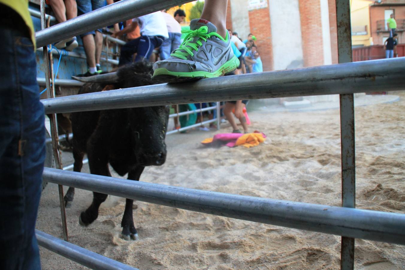 Primer encierro de las fiestas de Ciguñuela