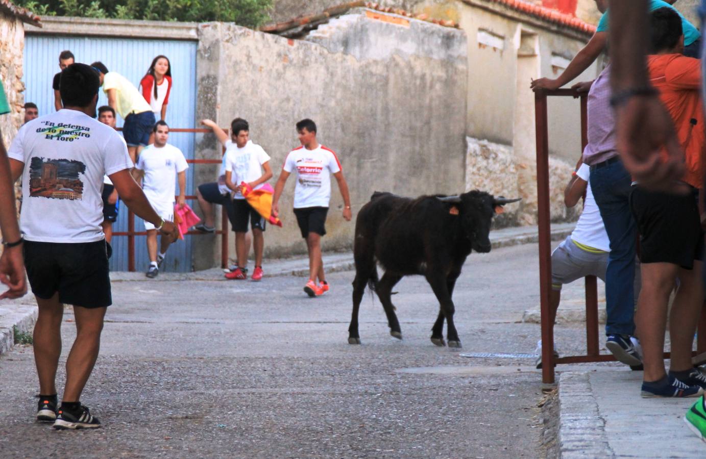 Primer encierro de las fiestas de Ciguñuela