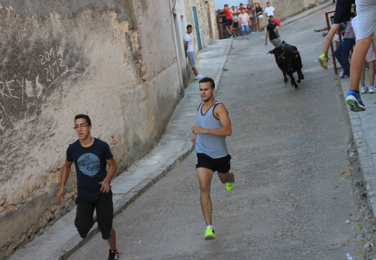 Primer encierro de las fiestas de Ciguñuela