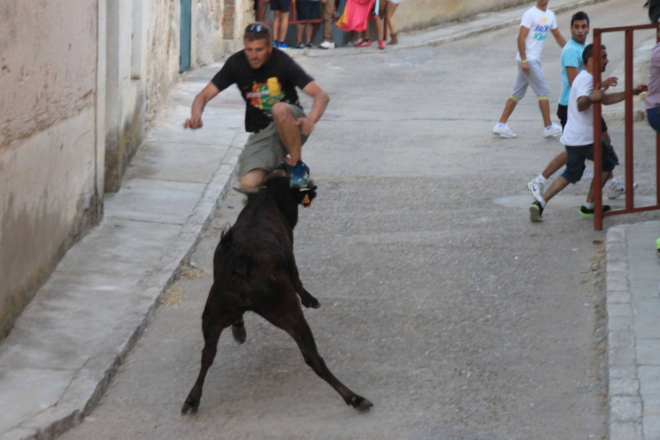 Primer encierro de las fiestas de Ciguñuela