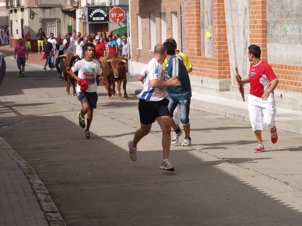 Tercer día de las fiestas de San Agustín en Pedrajas de San Esteban