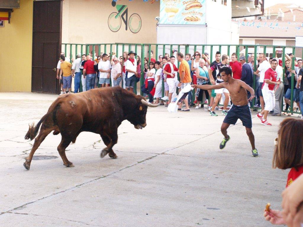 Tercer día de las fiestas de San Agustín en Pedrajas de San Esteban