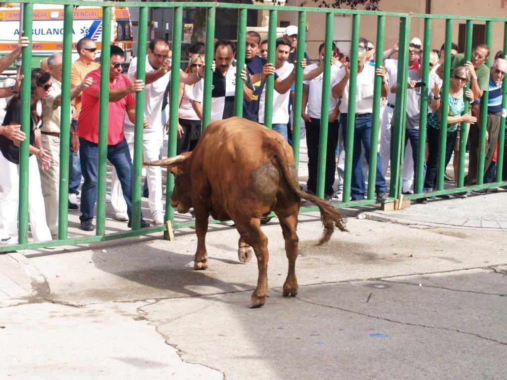 Tercer día de las fiestas de San Agustín en Pedrajas de San Esteban