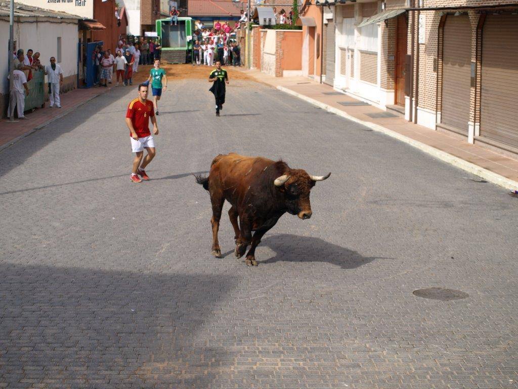 Tercer día de las fiestas de San Agustín en Pedrajas de San Esteban