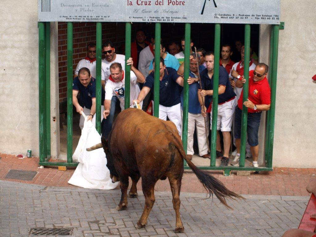 Tercer día de las fiestas de San Agustín en Pedrajas de San Esteban