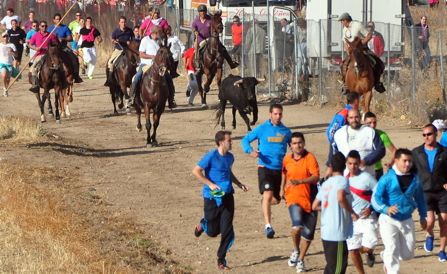 Último encierro de las fiestas de Medina del Campo