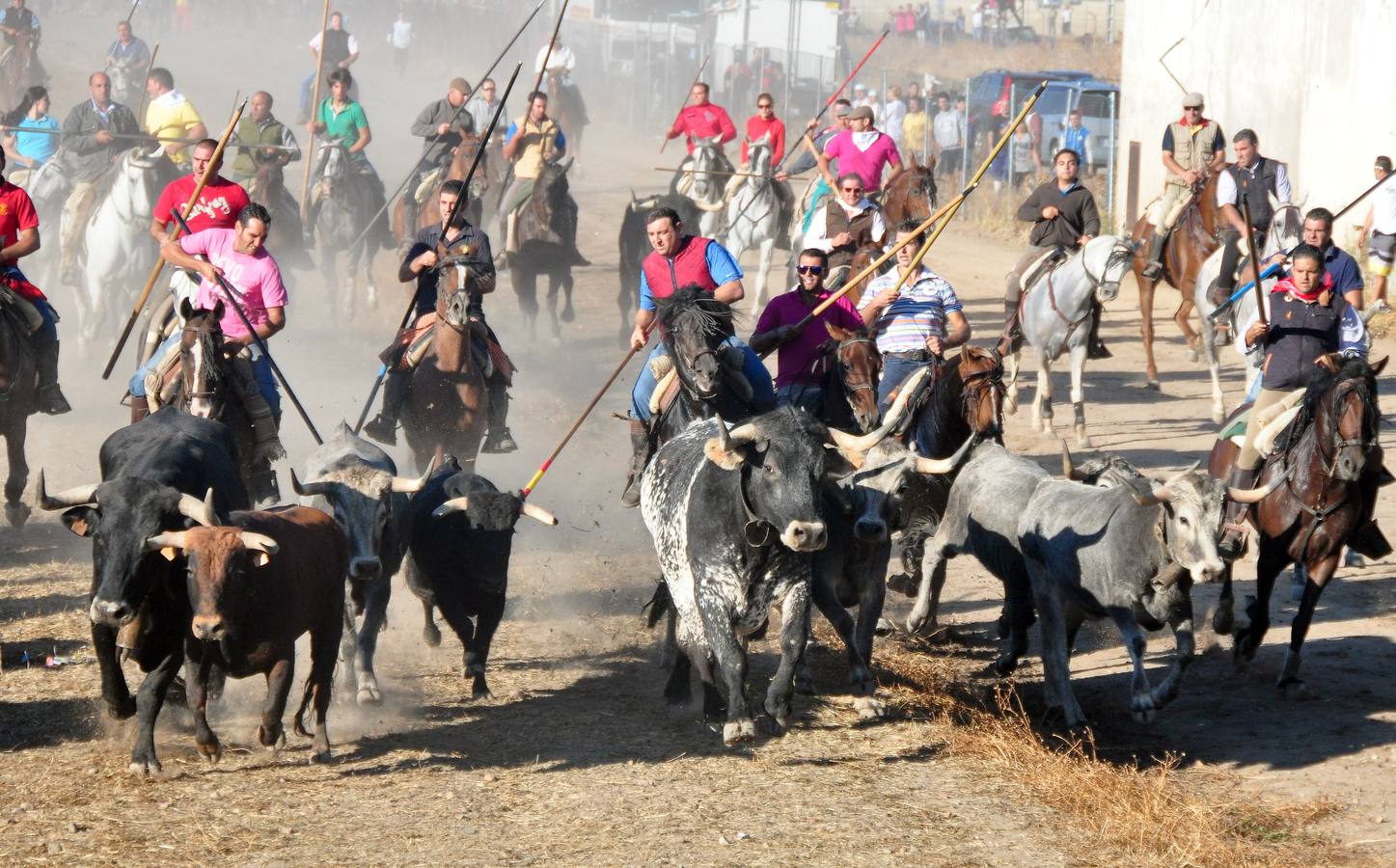 Último encierro de las fiestas de Medina del Campo