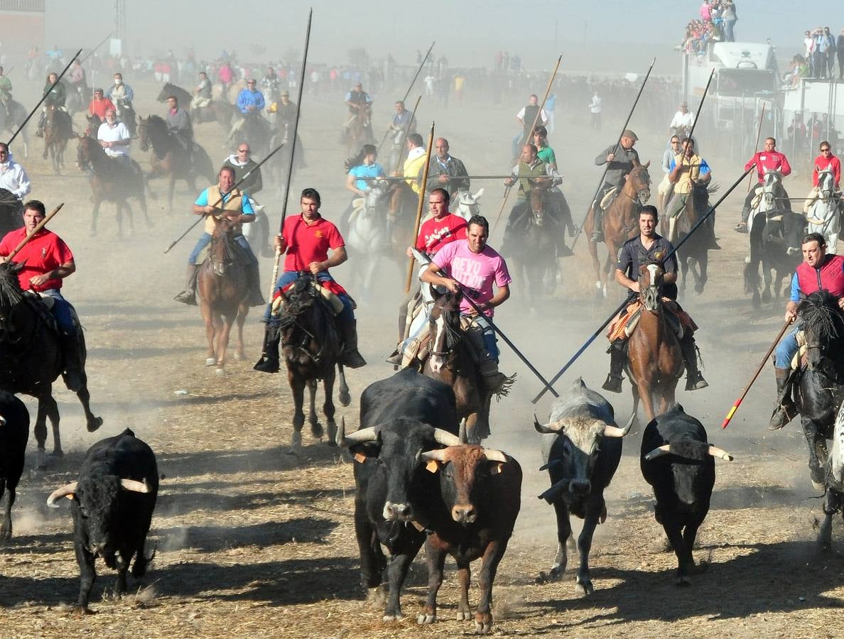 Último encierro de las fiestas de Medina del Campo