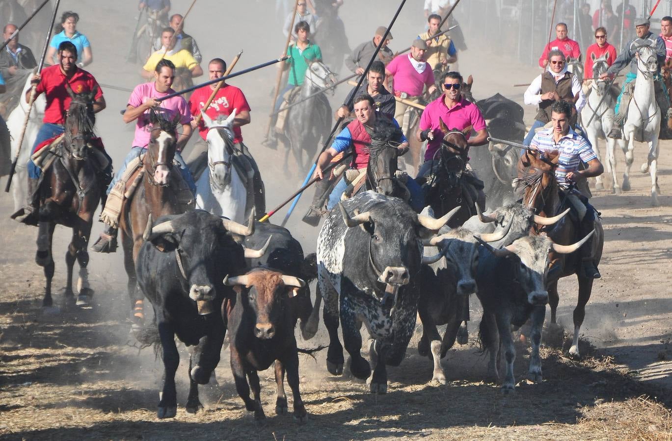 Último encierro de las fiestas de Medina del Campo