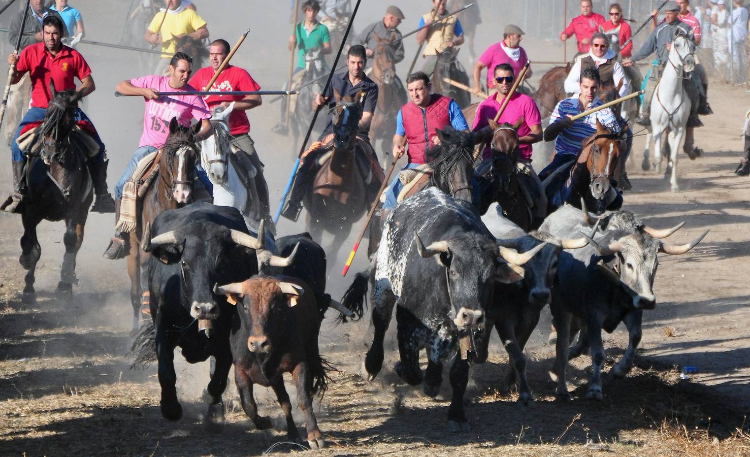 Último encierro de las fiestas de Medina del Campo