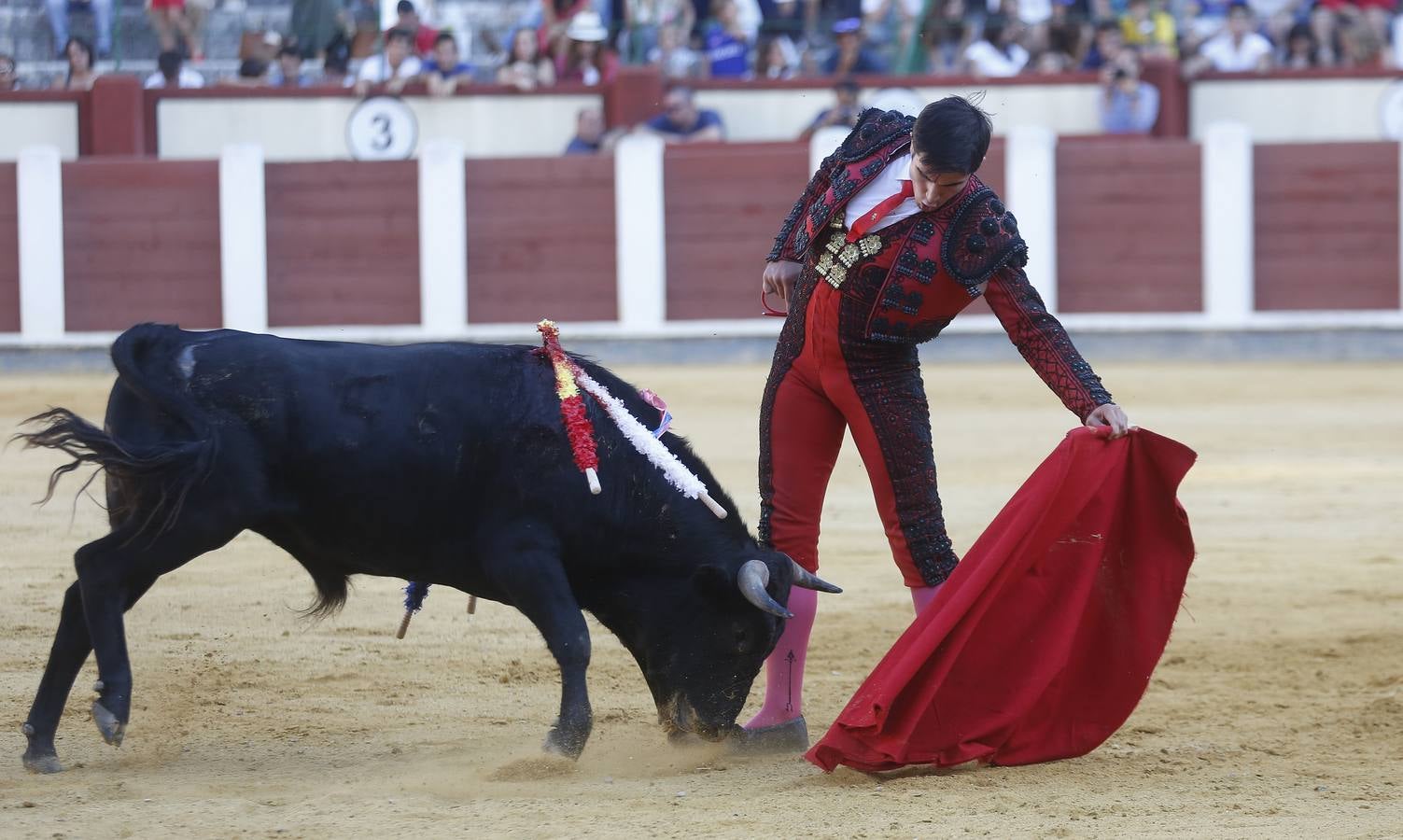 Novillada sin picadores en la Feria de Nuestra Señora de San Lorenzo de Valladolid