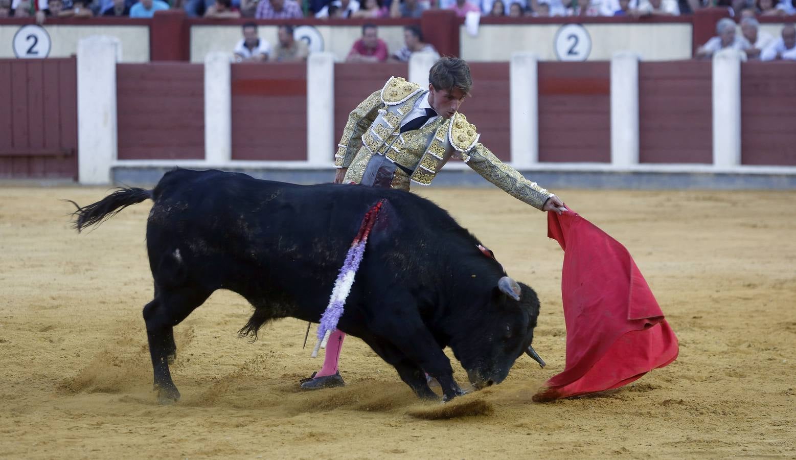 Novillada sin picadores en la Feria de Nuestra Señora de San Lorenzo de Valladolid