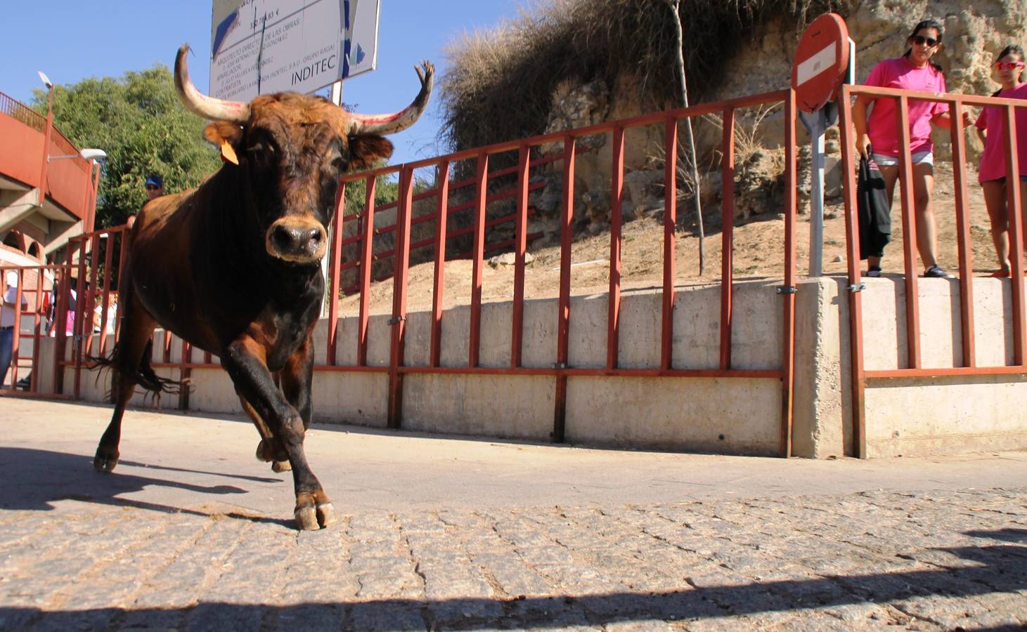 Cuarto encierro de las fiestas de Simancas
