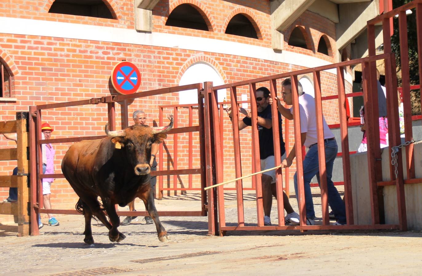 Cuarto encierro de las fiestas de Simancas