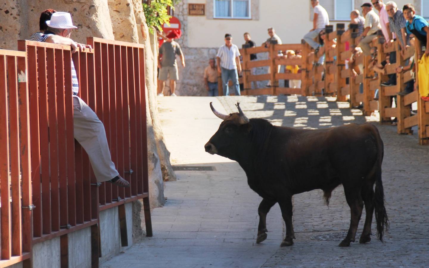 Cuarto encierro de las fiestas de Simancas