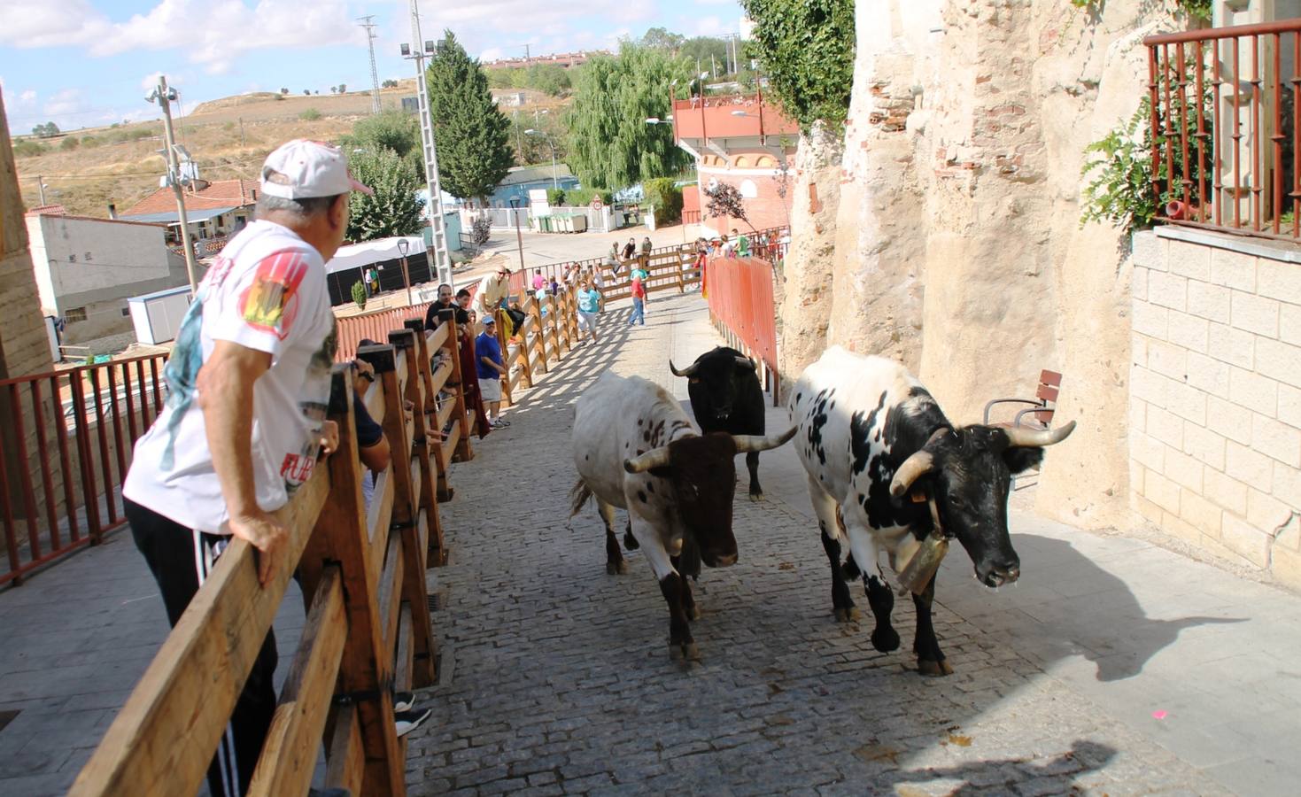 Último encierro de las fiestas de Simancas 2014