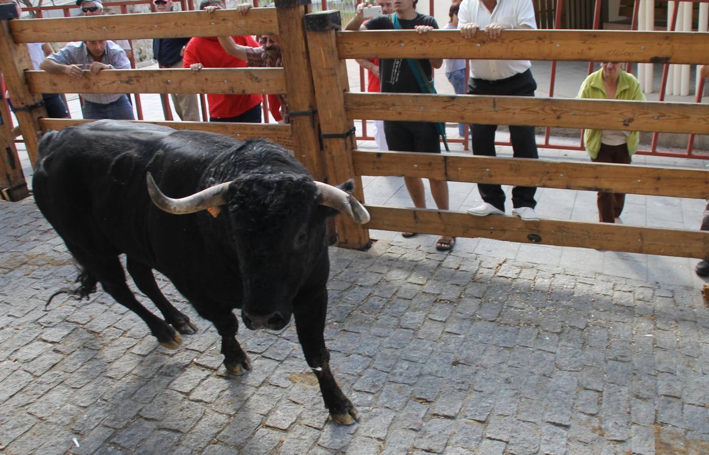 Último encierro de las fiestas de Simancas 2014