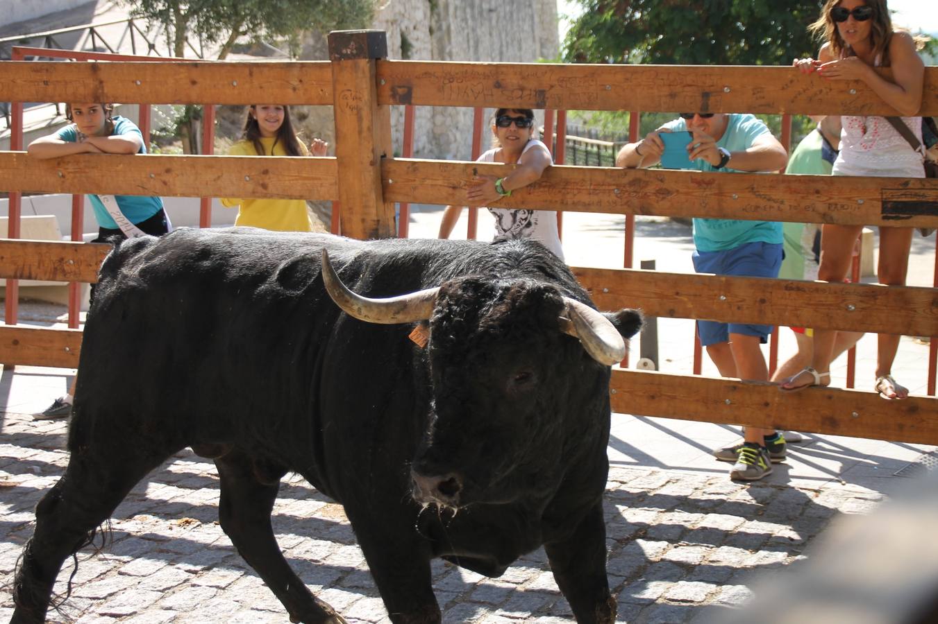 Último encierro de las fiestas de Simancas 2014