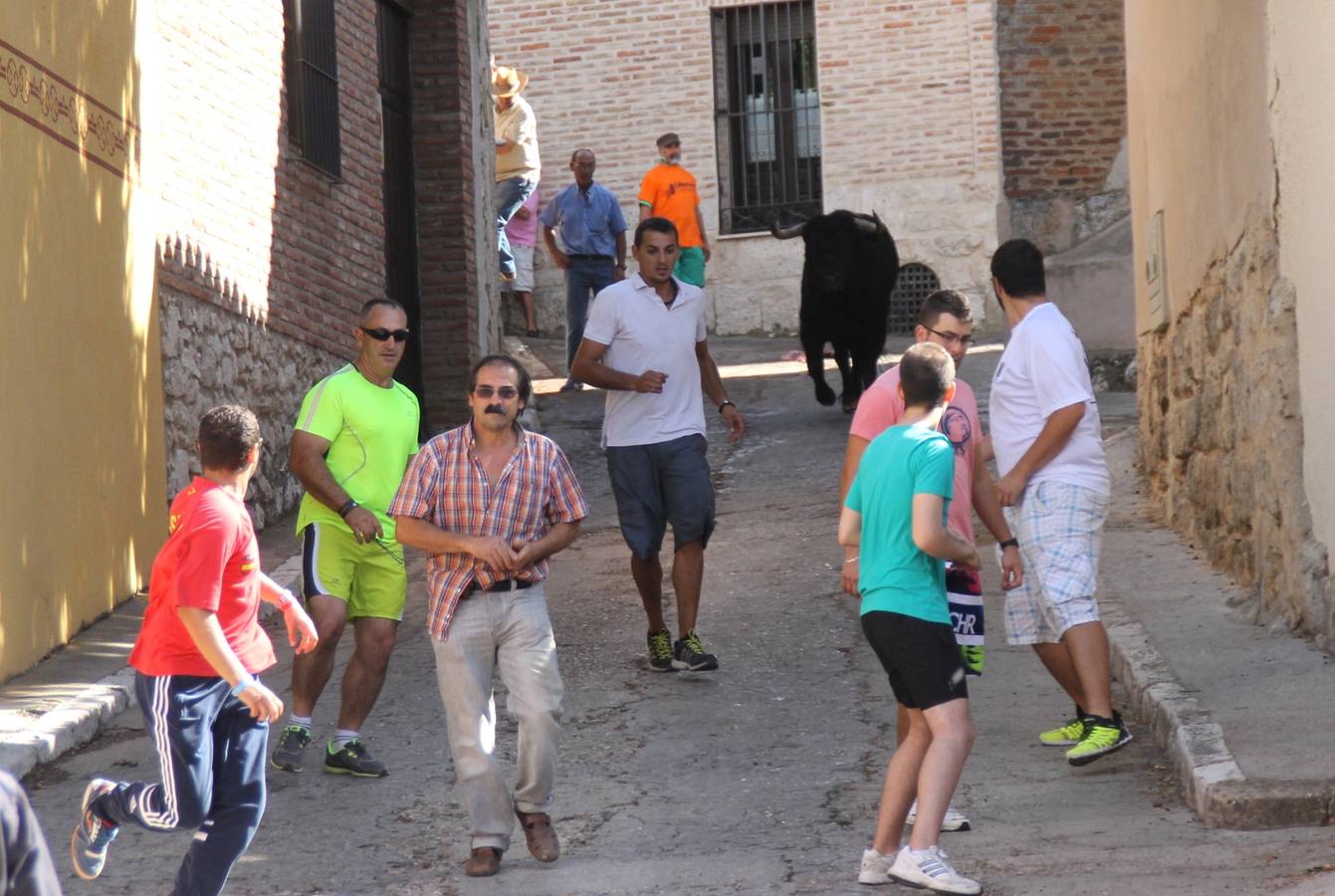 Último encierro de las fiestas de Simancas 2014