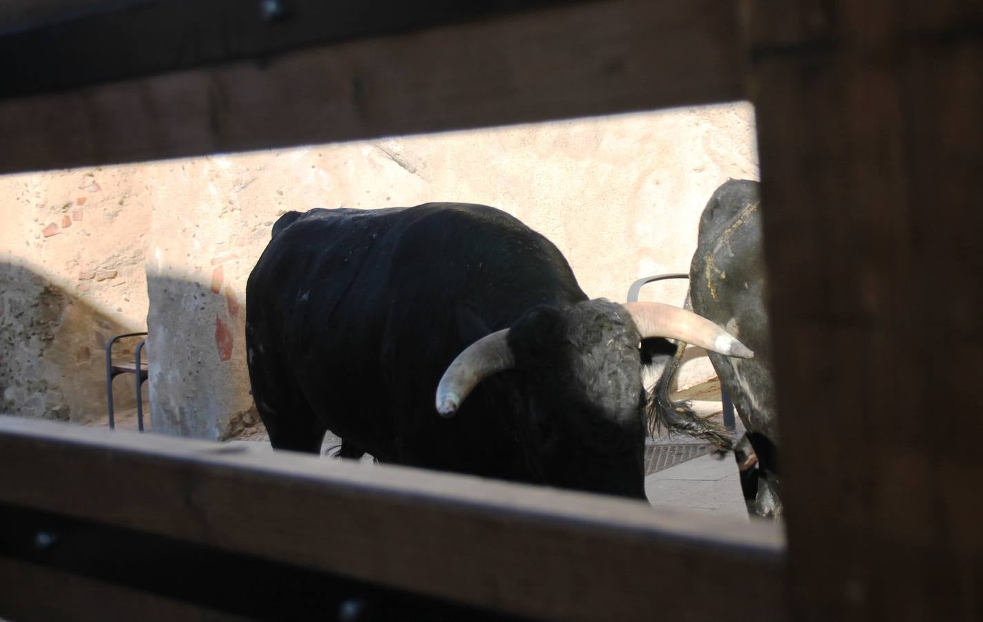 Último encierro de las fiestas de Simancas 2014