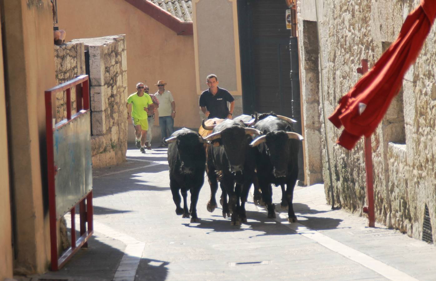 Último encierro de las fiestas de Simancas 2014