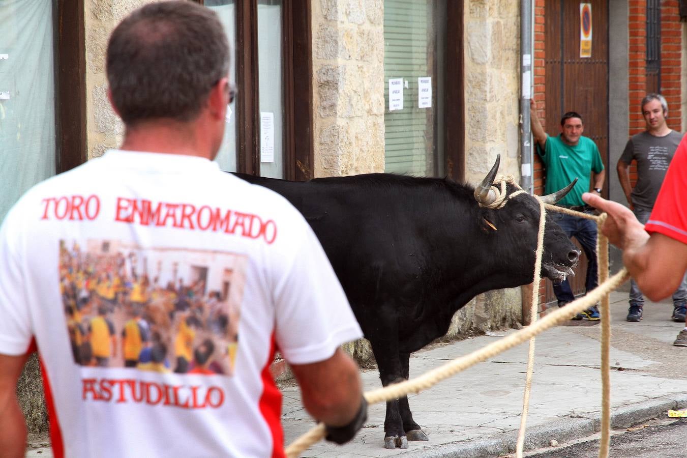 Celebración del &#039;toro enmaromado&#039; en Astudillo (Palencia)