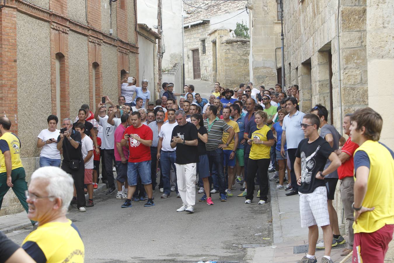 Celebración del &#039;toro enmaromado&#039; en Astudillo (Palencia)