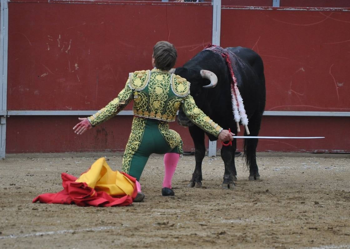 Toros en Villaviciosa de Odón
