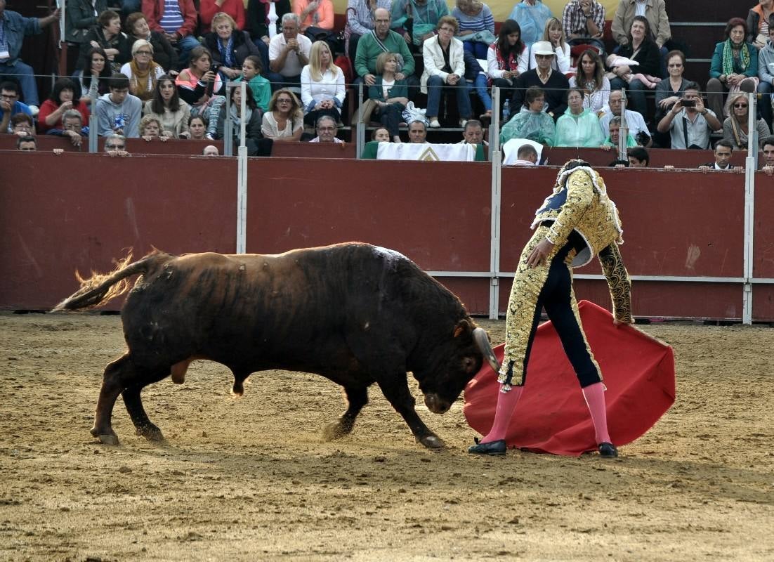 Toros en Villaviciosa de Odón