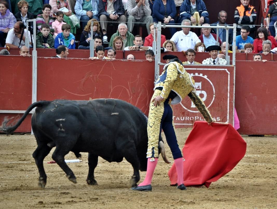Toros en Villaviciosa de Odón