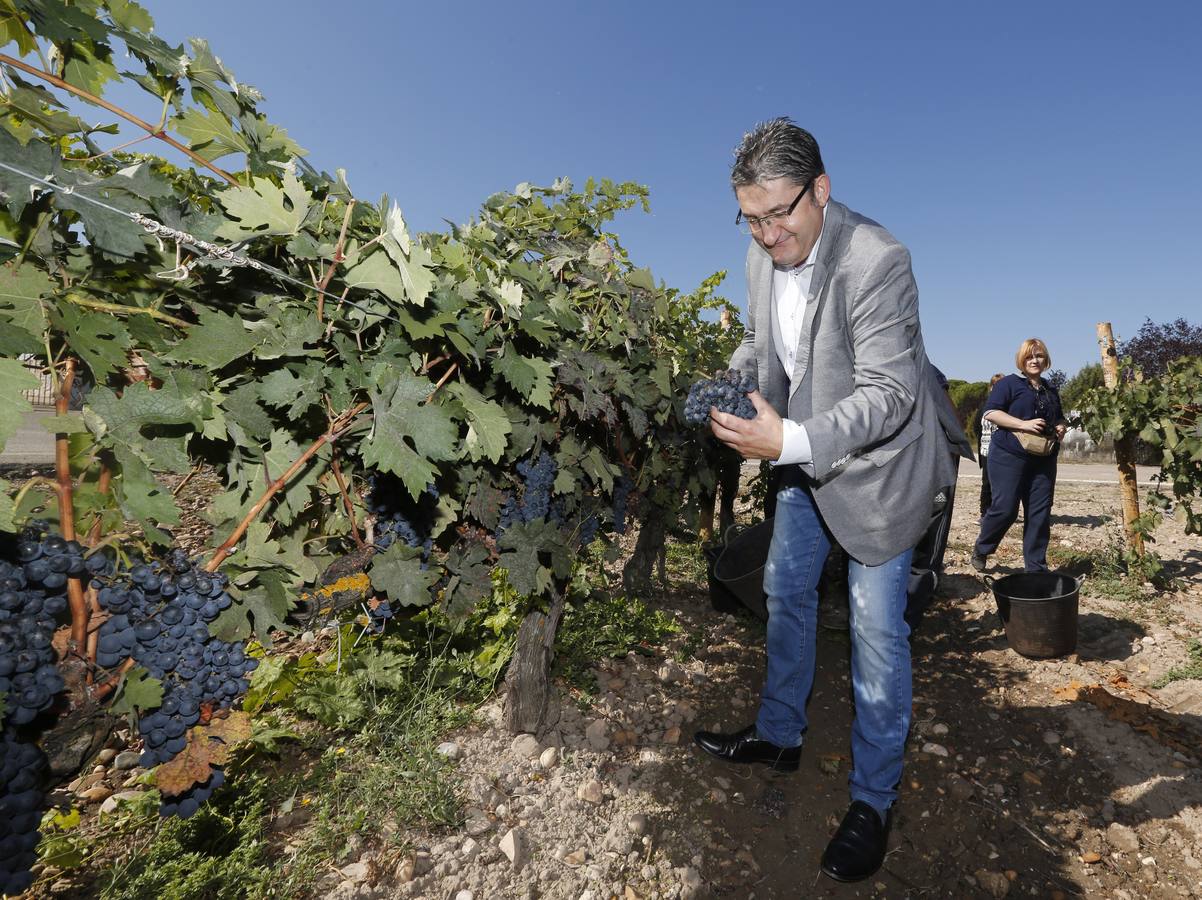 Óscar Campillo, Padrino de la Vendimia 2014 de Dehesa de los Canónigos