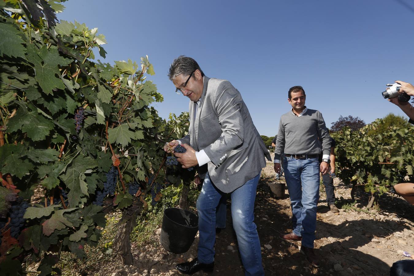 Óscar Campillo, Padrino de la Vendimia 2014 de Dehesa de los Canónigos