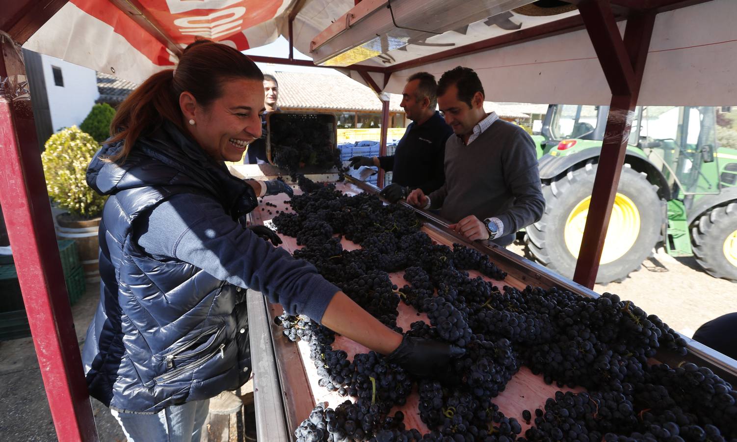 Óscar Campillo, Padrino de la Vendimia 2014 de Dehesa de los Canónigos