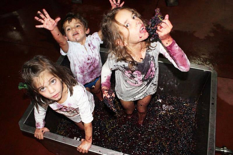 Óscar Campillo, Padrino de la Vendimia 2014 de Dehesa de los Canónigos