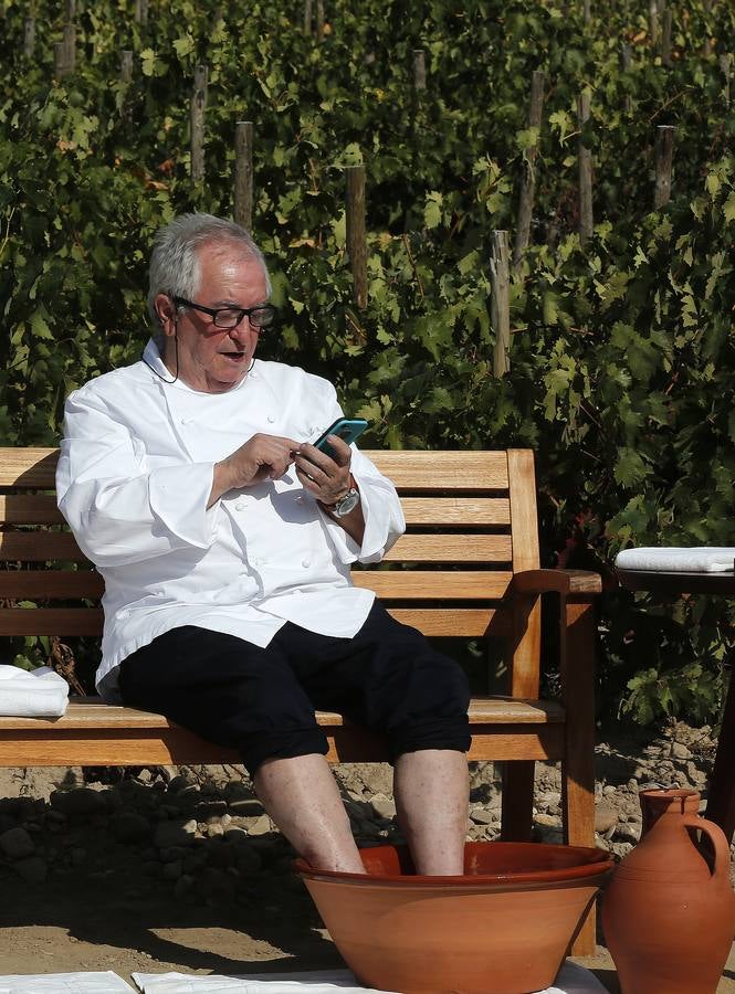 Pisada de uva en Abadía de Retuerta en Sardón de Duero (Valladolid)